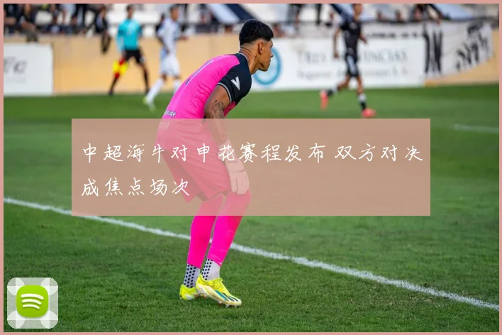 中超海牛对申花赛程发布 双方对决成焦点场次