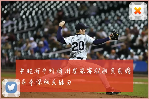 中超海牛对梅州客家赛程胜负前瞻 争夺保级关键分