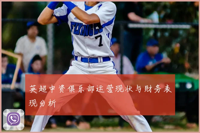 英超中资俱乐部运营现状与财务表现分析